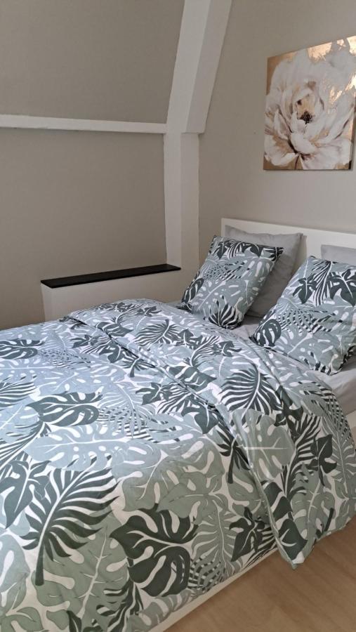 Chambre Cocooning Вилньов д'Аск Екстериор снимка