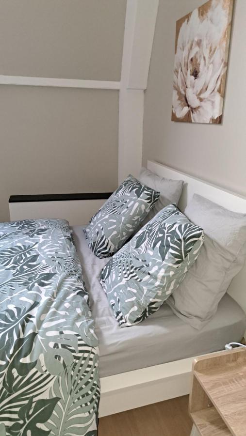 Chambre Cocooning Вилньов д'Аск Екстериор снимка